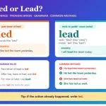 Led or Lead